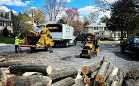 Best Hazardous Tree Removal  in Selmer, TN